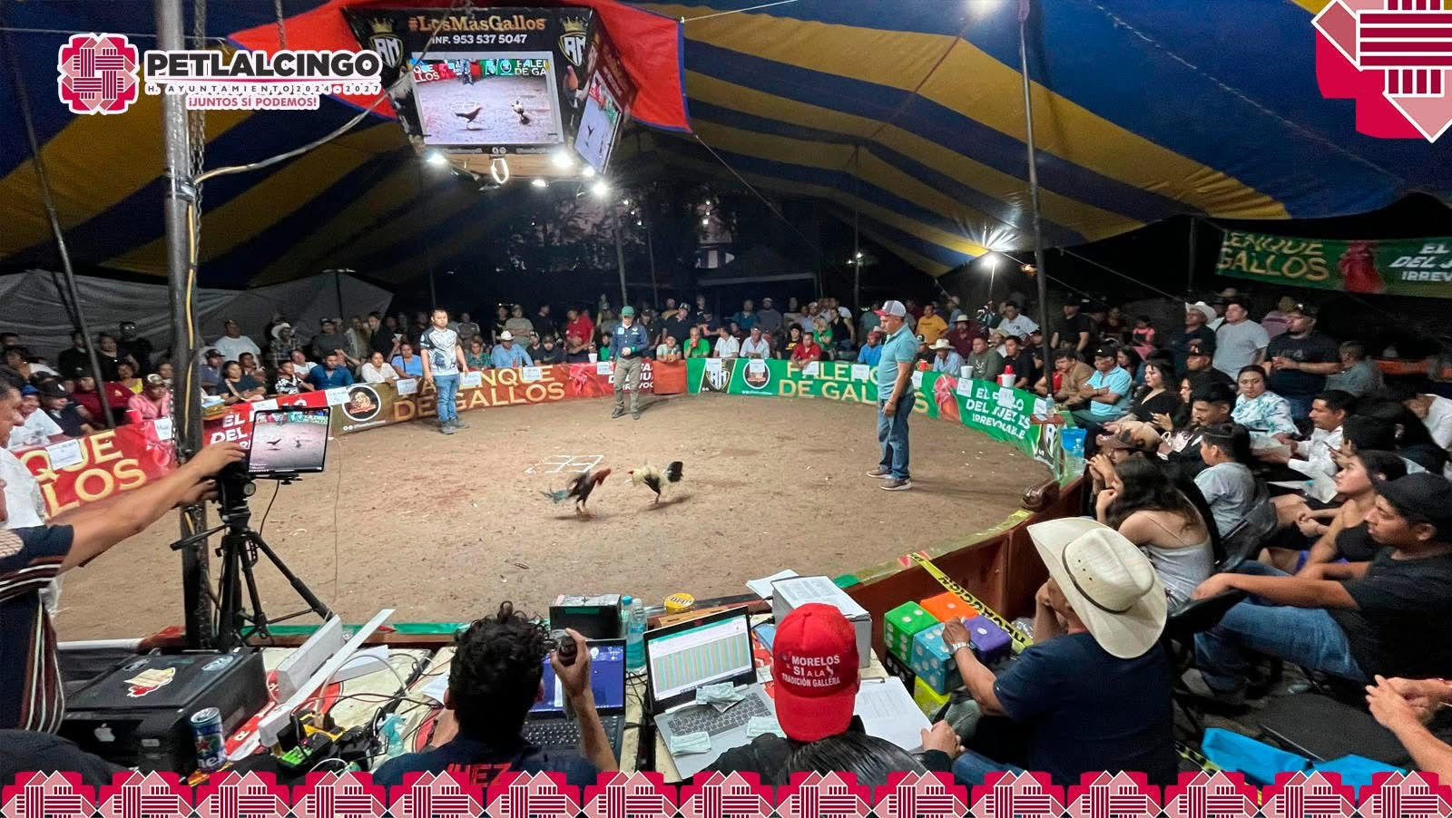 El palenque también tuvo actividad en nuestra Feria Regional Petlalcingo 2025, con emocionantes peleas, la gente disfrutó de este espectáculo.